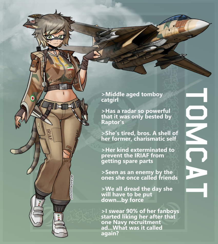 :3 absurdres aircraft airplane animal_ears belt blonde_hair breasts camouflage camouflage_jacket cat_ears cat_tail denim ear_ornament english_text f-14_tomcat female fighter_jet fingerless_gloves full_body gloves green_eyes group_picture highres iranian_flag jacket jeans medium_breasts medium_hair midriff military_vehicle missile navel notched_ear open_mouth original pandramodo pants personification shoes smile sneakers standing tail teeth torn_clothes torn_jeans torn_pants