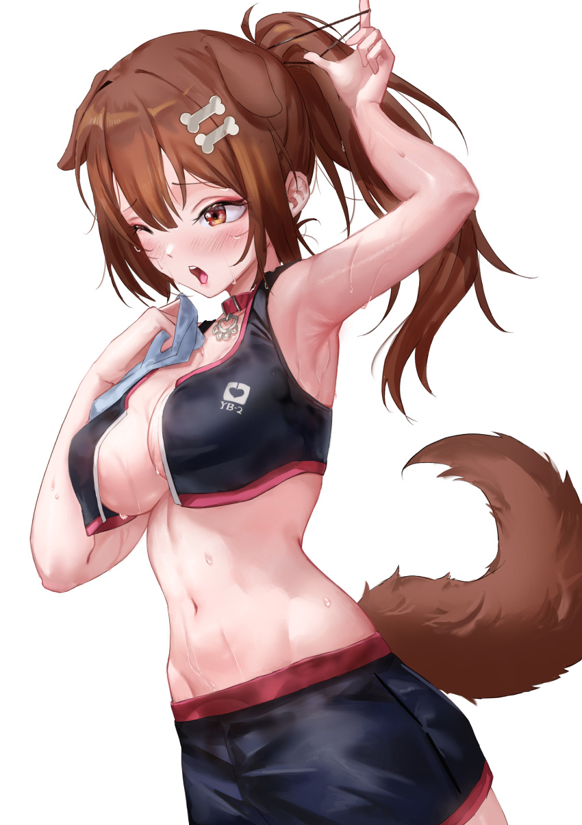 absurdres animal_collar animal_ears arm_up armpits black_shorts black_sports_bra blush bone_hair_ornament breasts brown_eyes brown_hair cartoon_bone cleavage collar commentary dog_ears dog_girl dog_tail double-parted_bangs extra_ears female groin hair_between_eyes hair_ornament hairclip high_ponytail highres hololive inugami_korone inugami_korone_(8th_costume) large_breasts linea_alba long_hair lunarisbloom navel official_alternate_costume official_alternate_hairstyle one_eye_closed open_mouth red_collar shorts simple_background solo sports_bra stomach sweat symbol-only_commentary tail teeth unzipped upper_teeth_only very_sweaty virtual_youtuber white_background