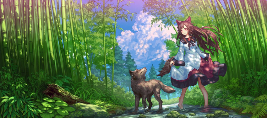 animal animal_ears bamboo bamboo_forest barefoot brown_hair commentary_request dress female forest imaizumi_kagerou nature outdoors scenery tail touhou wasabichan wolf_ears wolf_tail