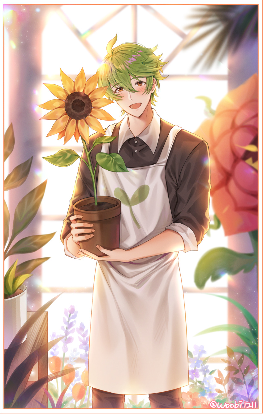 1boy :d absurdres apron backlighting blurry blurry_background blush border botanical_garden brown_eyes brown_shirt buttons collared_shirt commentary cookie_run day depth_of_field dress_shirt feet_out_of_frame flower flower_pot green_hair hair_between_eyes herb_cookie highres holding holding_plant humanization indoors leaf leaf_print looking_at_viewer male_focus plant potted_plant red_flower shirt short_hair smile solo sunflower ubi_(ekdus6080) white_apron white_border window