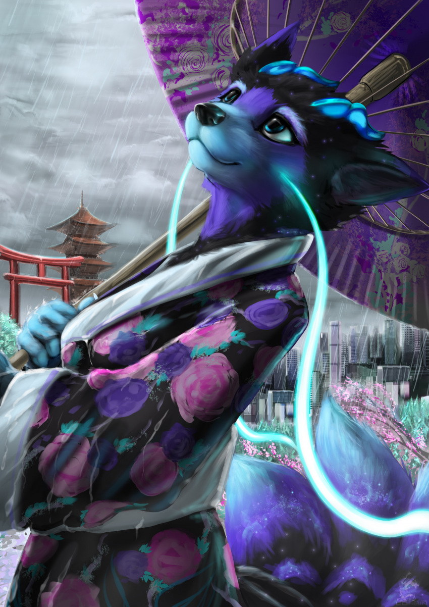 anthro asian_clothing black_body black_clothing black_fur blue_body blue_eyes blue_fur building canid canine cheek_tuft cherry_blossom cherry_blossom_tree cherry_tree city clothing cloud corbin_(roscy) dragon east_asian_clothing facial_tuft female fingers flower fluffy fox fruit_tree fur grey_sky hi_res holding_object horn hybrid inner_ear_fluff japanese japanese_clothing looking_away mammal multi_tail mythological_creature mythological_scalie mythology peaceful plant prunus_(flower) purple_body purple_fur raining relaxing religion scalie shinto shrine sky smile solo tail tree tuft umbrella