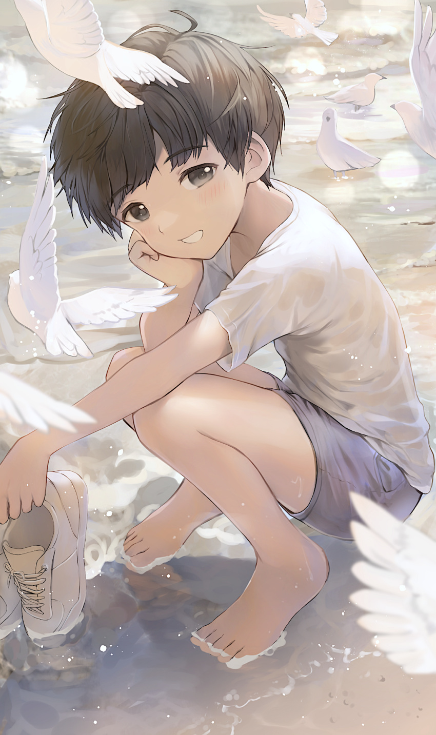 1boy :d bad_id bad_twitter_id barefoot bird cocolo_(co_co_lo) commentary_request highres inactive_account lolicon looking_at_viewer male_focus morning original outdoors shirt short_hair shorts smile squatting wet wet_clothes wet_shirt