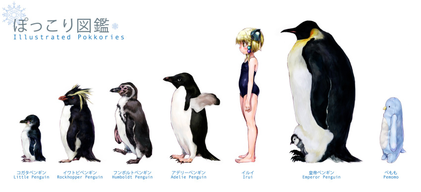 adelie_penguin barefoot bilingual bird blonde_hair blush emperor_penguin feet female flat_chest hair_bobbles hair_ornament height_chart height_difference highres humboldt_penguin irui_guneden legs lineup little_penguin lolicon mixed-language_text nakamura_kanko one-piece_swimsuit penguin profile rockhopper_penguin school_swimsuit short_hair short_twintails sidelocks simple_background snowflakes standing stuffed_animal stuffed_penguin stuffed_toy super_robot_wars swimsuit twintails white_background yellow_eyes