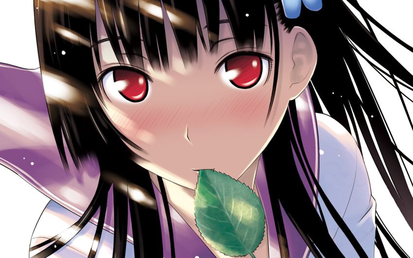 black_hair blush close-up female flower hattori_mitsuru hydrangea leaf long_hair mouth_hold photoshop_(medium) red_eyes sanka_rea sankarea school_uniform simple_background solo