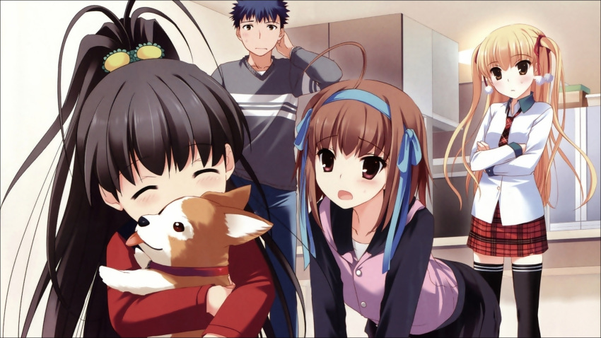 papa_no_iukoto_wo_kikinasai! segawa_yuuta takanashi_hina takanashi_miu takanashi_sora