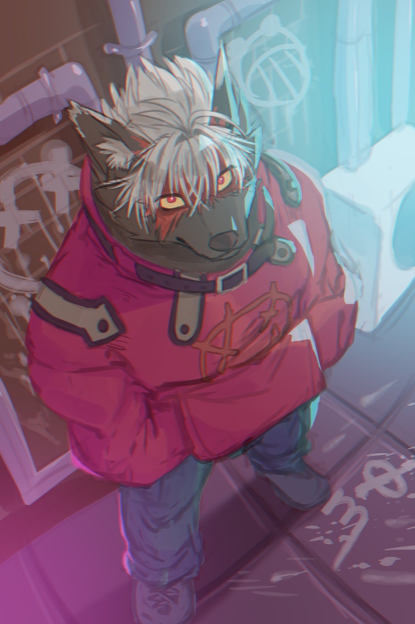 anthro bird's-eye_view biri black_body black_fur canid canine canis casual_clothing detailed_background digital_media_(artwork) digital_painting_(artwork) domestic_dog fur hair hi_res high-angle_view lifewonders male mammal solo street tadatomo_(tas) tokyo_afterschool_summoners white_hair