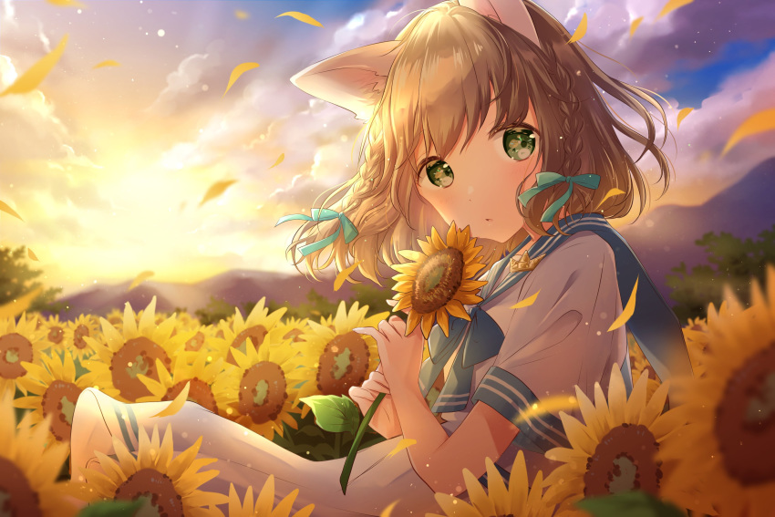 animal_ears blue_neckerchief blue_sailor_collar blurry blurry_background blurry_foreground braid brown_hair cat_ears cloud commentary dress female field floating_hair flower flower_field gradient_sky green_eyes highres holding holding_flower hoshiibara_mato looking_at_viewer mountain neckerchief original outdoors parted_lips petals sailor_collar sailor_dress short_hair short_sleeves sitting sky sleeve_cuffs solo sunflower sunflower_field sunset twin_braids wind yellow_flower