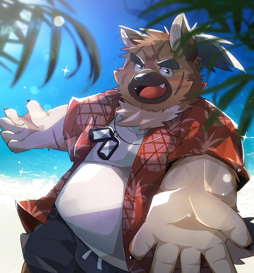 2022 anthro beach belly black_nose boar_stag144 bottomwear brown_body canid canine canis clothing cute_fangs detailed_background domestic_dog hi_res humanoid_hands kemono lifewonders male mammal overweight overweight_male scar seaside shirt shorts solo tokyo_afterschool_summoners topwear water yasuyori_(tas)