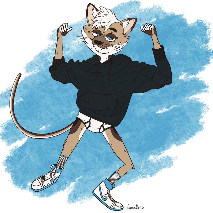 1:1 2020 anthro black_clothing black_hoodie black_topwear briefs clothing drawyourfursona felid grahamcat hi_res hoodie hoodie/briefs_meme male mammal meme meme_clothing solo standing topwear underwear white_clothing white_underwear