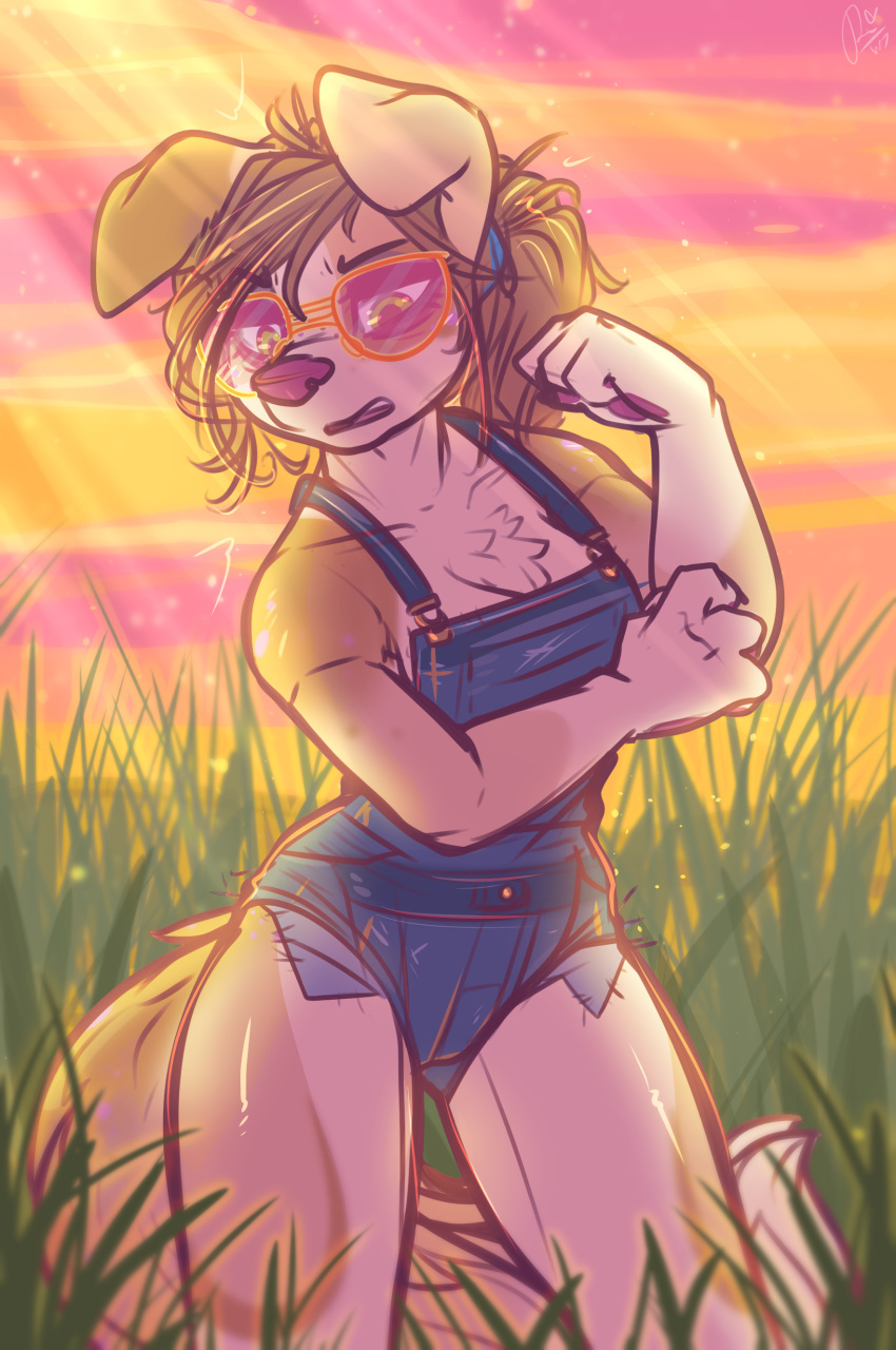 2019 absurd_res anthro breasts brown_hair canid canine canis clothed clothing digital_media_(artwork) dimmi_(character) dimwitdog domestic_dog eyewear female fur glasses green_eyes hair hi_res mammal outside overalls solo standing