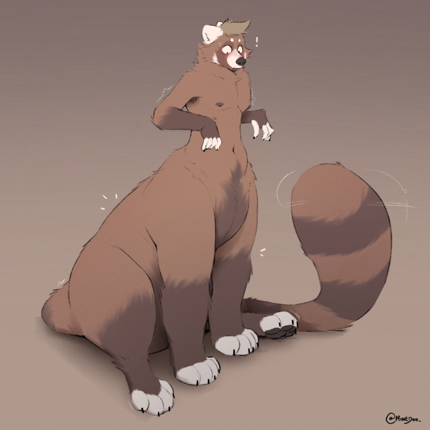 1:1 2023 ailurid ailurid_taur black_claws black_finger_claws black_toe_claws blush brown_background brown_body brown_fur claws digital_media_(artwork) exclamation_point finger_claws full-length_portrait fur gloves_(marking) gradient_background hair hi_res implied_transformation looking_down male mammal mammal_taur markings minedoo minedoo_(character) neck_tuft nipples nude nude_taur pawpads portrait quadruped red_panda red_panda_taur ring_(marking) ringed_tail shadow simple_background sitting solo striped_markings striped_tail stripes tail tail_markings taur tuft