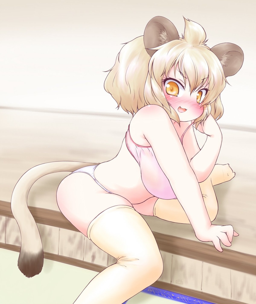 :d animal_ears blonde_hair blush bra commentary female highres kemono_friends lion_(kemono_friends) lion_ears lion_tail looking_at_viewer nose_blush oerba_yun_fang open_mouth panties pink_bra sitting smile solo tail thighhighs uho_(uhoyoshi-o) underwear underwear_only yellow_eyes yellow_thighhighs