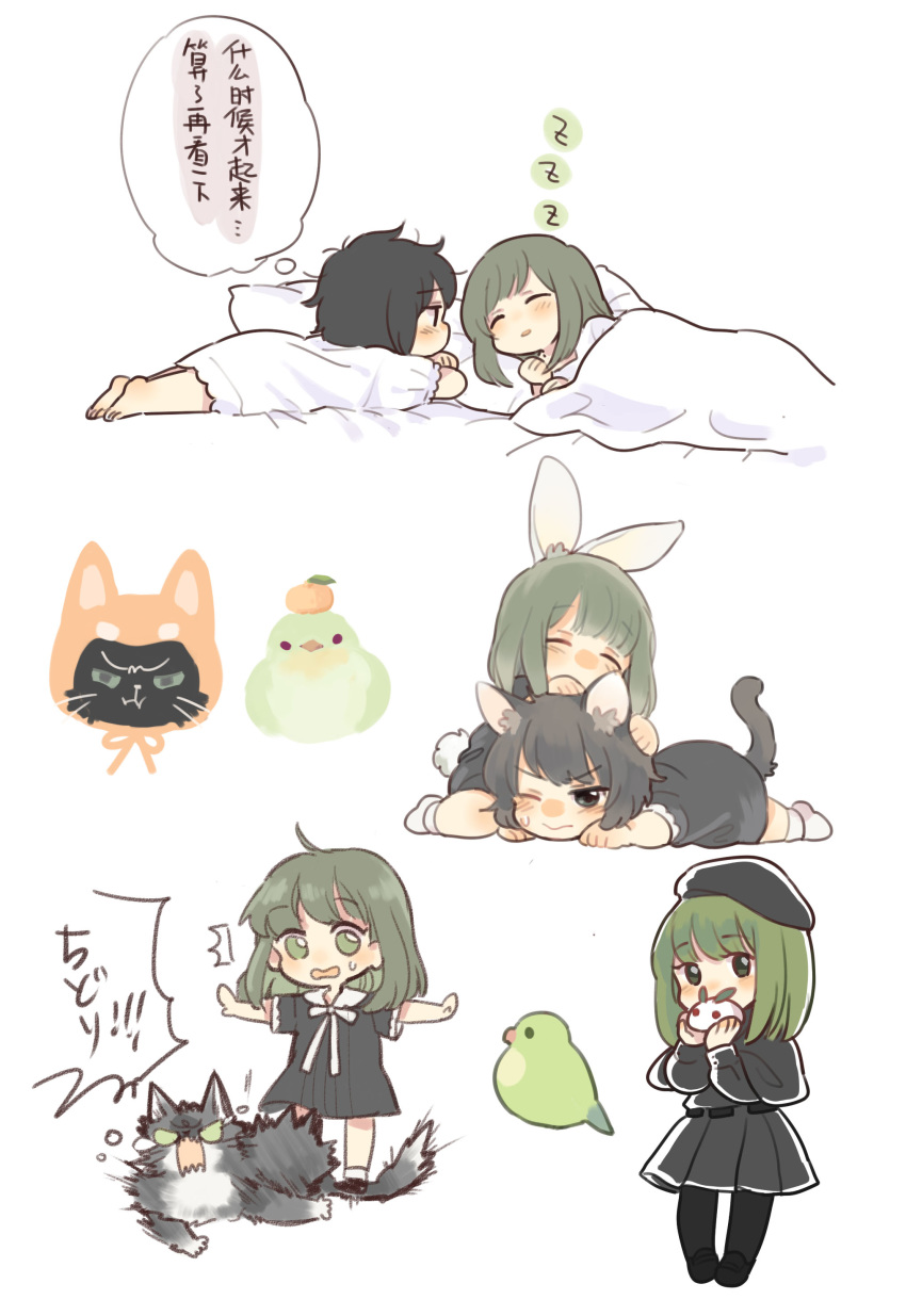 2girls absurdres animal_ears animalization bangs barefoot bed beret bird black_hair black_hat blanket blush bunny_ears bunny_tail cat_ears cat_tail chibi chinese closed_eyes eyebrows_visible_through_hair feline flowers_(innocent_grey) food fruit green_eyes green_hair hat highres keiya kemonomimi_mode long_hair long_sleeves lying mandarin_orange messy_hair multiple_girls multiple_views on_side on_stomach one_eye_closed open_mouth pajamas pantyhose pillow pleated_skirt ribbon school_uniform short_hair simple_background skirt sleeping snow_bunny surprised sweatdrop tail takasaki_chidori thought_bubble translation_request under_covers white_background yaegaki_erika yuri zzz