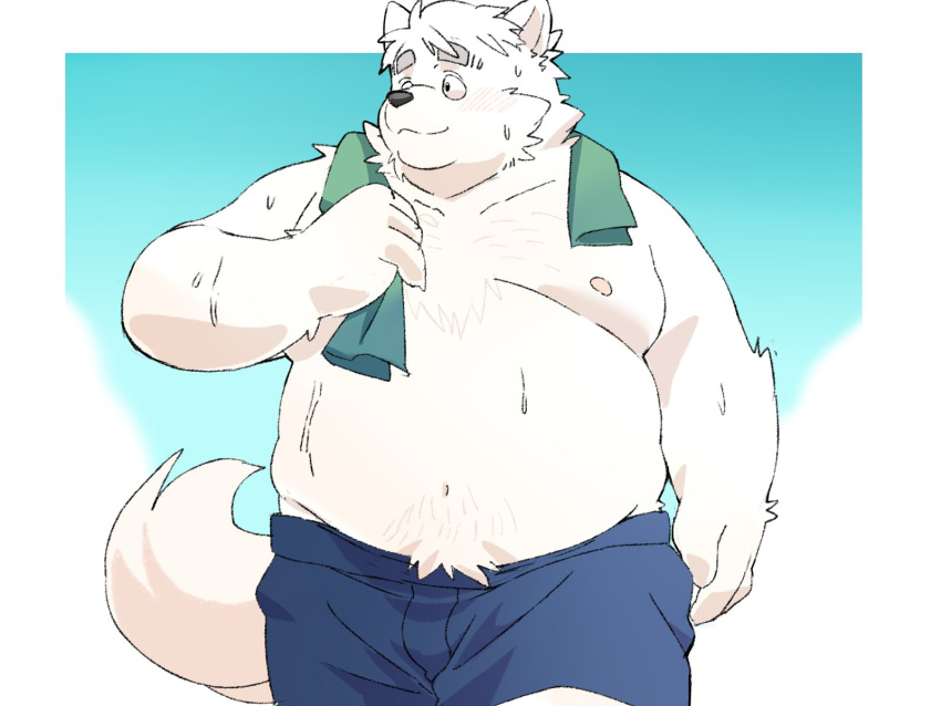 2024 anthro belly bodily_fluids bottomwear canid canine canis clothing domestic_dog hi_res inunoshippo kemono male mammal moobs navel nipples overweight overweight_male shorts simple_background solo sweat towel towel_around_neck walking