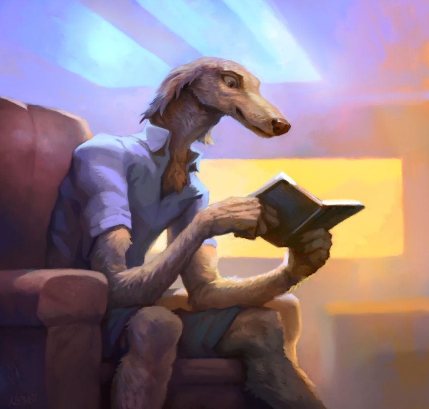 anthro borzoi bottomwear canid canine canis chair clothed clothing domestic_dog dress_shirt floppy_ears fully_clothed furniture hi_res hunting_dog klongi long_snout male mammal on_chair open_book reading shirt shorts sighthound sitting sitting_on_chair snout solo topwear