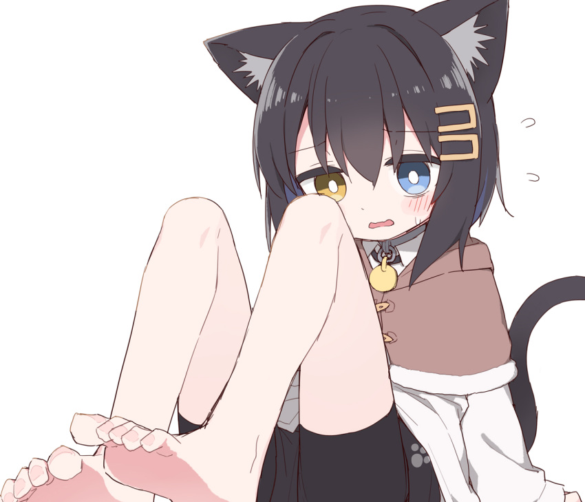 animal_ear_fluff animal_ears ayanepuna barefoot black_hair black_shorts black_tail blue_eyes blush bright_pupils brown_capelet capelet cat_ears cat_girl cat_tail collar collared_shirt commentary_request feet female flying_sweatdrops fur-trimmed_capelet fur_trim grey_collar hair_between_eyes hair_ornament hairclip heterochromia highres hood hood_down knees_up koko_(ayanepuna) long_sleeves looking_ahead original parted_lips paw_print print_shorts shirt shorts simple_background sitting soles solo tail toenails toes white_background white_pupils white_shirt yellow_eyes