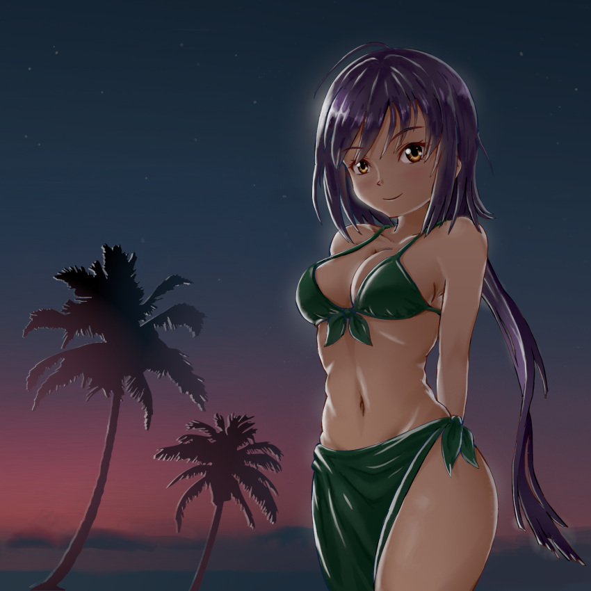 ahoge arms_behind_back bikini black_bikini blush breasts english_commentary english_text female front-tie_top groin highres long_hair looking_at_viewer medium_breasts midriff navel nengajou new_year night night_sky palm_tree purple_hair sarong sky smile solace solo swimsuit tokyo_ravens tree tsuchimikado_natsume