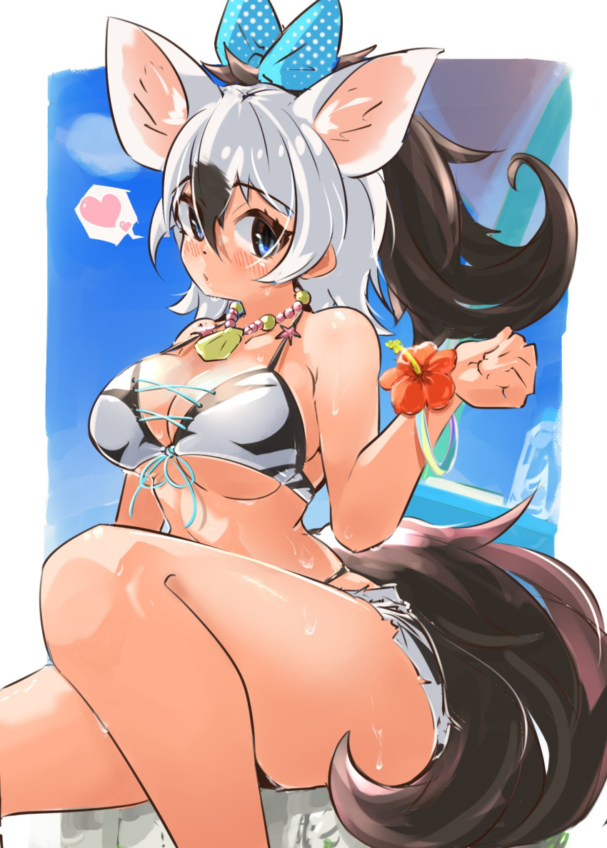 aardwolf_(kemono_friends) aardwolf_print animal_ears animal_print bare_shoulders bikini bikini_top_only black_hair blue_eyes blush bracelet breasts extra_ears female hair_between_eyes heart highres jewelry kemono_friends kemono_friends_3 large_breasts long_hair multicolored_hair ponytail shorts spoken_heart swimsuit tail two-tone_hair white_hair wonderful_waon