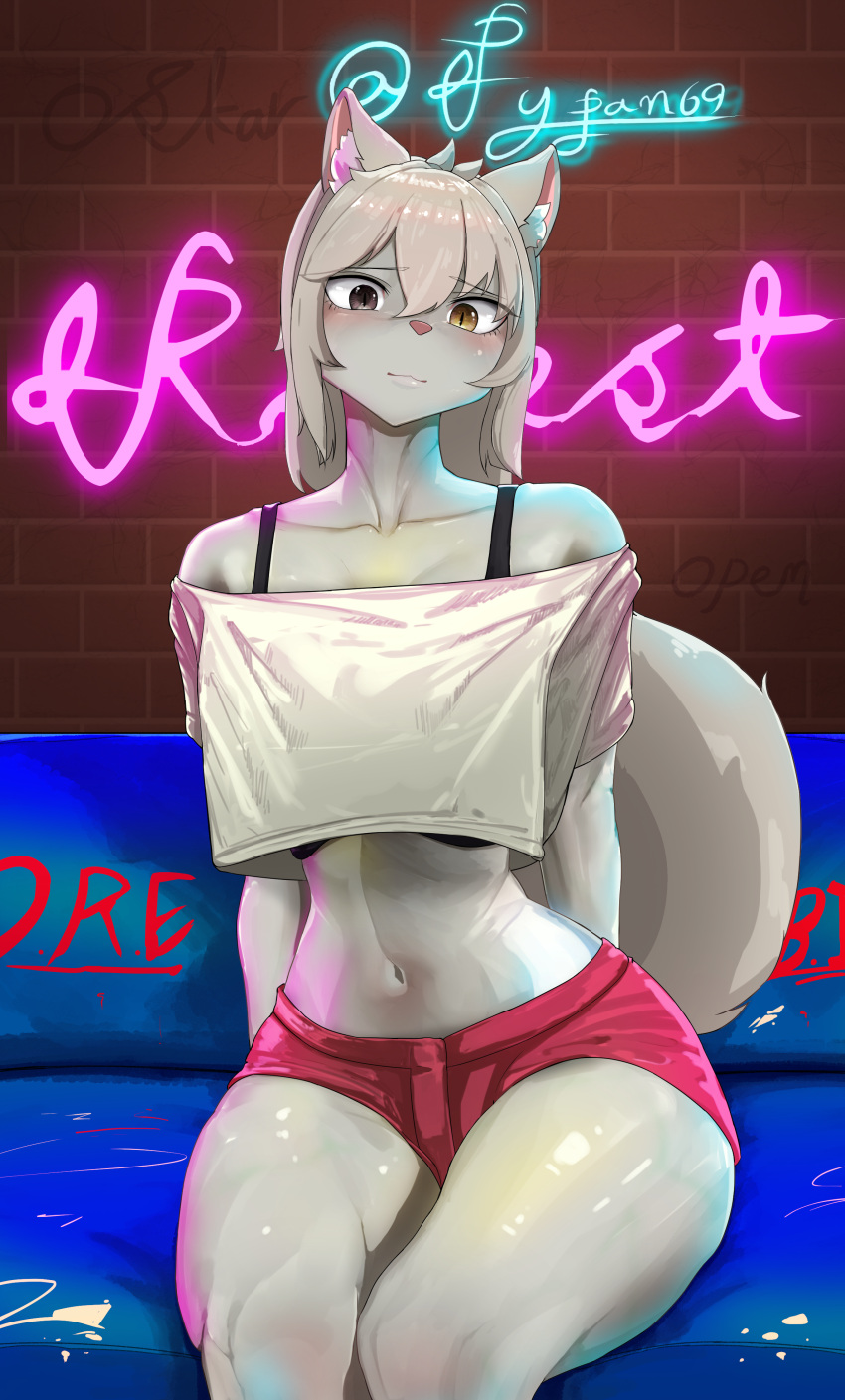 absurd_res anthro ass belly big_breasts bottomwear bra breasts canid canine clothed clothing collarbone crop_top digital_media_(artwork) female hair hi_res hotpants looking_at_viewer mammal navel off_shoulder pypan69 shirt shorts smile solo tail thick_thighs topwear underwear