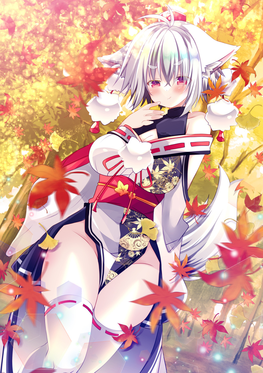 alternate_costume animal_ear_fluff animal_ears antenna_hair autumn_leaves blush breasts cleavage closed_mouth commentary_request crossed_bangs dutch_angle ears_down feet_out_of_frame female floral_print forest ginkgo_leaf groin hat highres hikanyan inubashiri_momiji large_breasts leaf long_sleeves looking_at_viewer nature no_panties obi pelvic_curtain pom_pom_(clothes) red_eyes red_hat red_sash ribbon-trimmed_kimono ribbon-trimmed_thighhighs ribbon_trim sash short_hair smile socks solo standing tail thighhighs tokin_hat touhou v-shaped_eyebrows white_hair white_socks white_thighhighs wide_sleeves wolf_ears wolf_girl wolf_tail