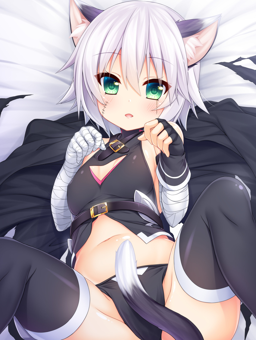 animal_ears assassin_of_black_(fate/apocrypha) fate/apocrypha fate/grand_order fate/stay_night nekomimi pantsu thighhighs wakagi_repa