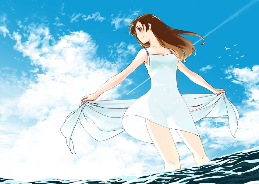 bare_arms bikini bikini_under_clothes bird blue_sky brown_eyes brown_hair cloud cloudy_sky commentary_request contrail day dress female gustav_(telomere_na) idolmaster idolmaster_cinderella_girls long_hair looking_to_the_side nitta_minami ocean profile see-through_silhouette skirt_hold sky sleeveless sleeveless_dress smile solo sparkle sundress swimsuit towel wading white_dress