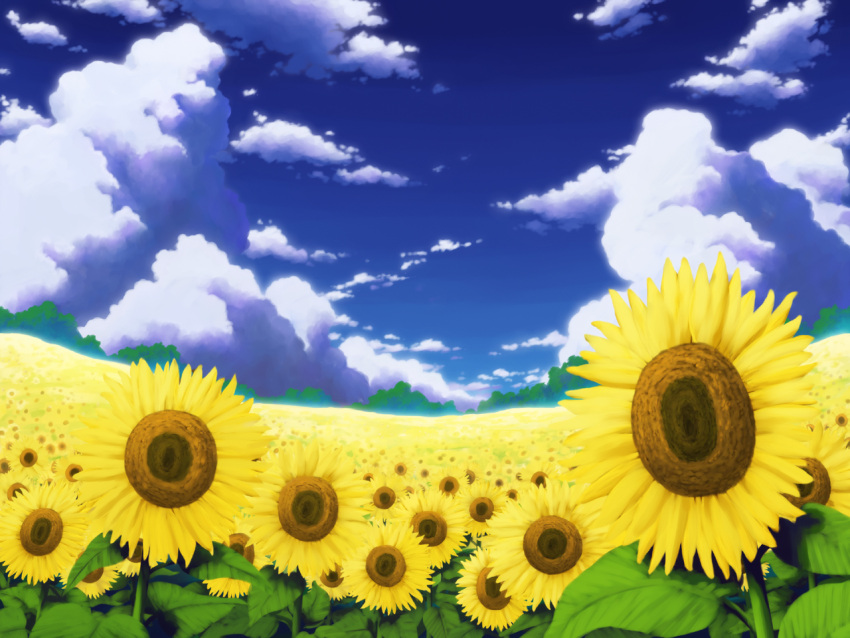 aoha_(twintail) cloud commentary day field flower garden_of_the_sun looking_at_viewer no_humans outdoors photoshop_(medium) scenery sky sunflower touhou