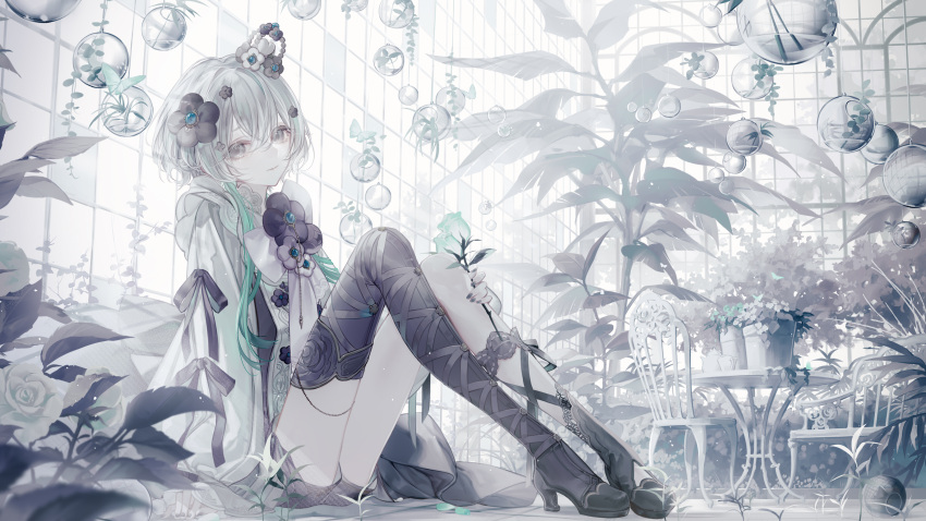 absurdres belt_boots black_footwear blue_gemstone boots chair closed_mouth female flower gem greenhouse grey_eyes grey_hair hair_between_eyes hair_flower hair_ornament hanging_plant highres holding holding_plant indie_virtual_youtuber knees_up long_sleeves looking_at_viewer nail_polish pale_skin plant potted_plant rose sena_(vtuber) short_hair shorts single_thigh_boot sitting skinny solo sunlight table thigh_boots thighs virtual_youtuber white_flower white_rose window yoggi_(stretchmen)