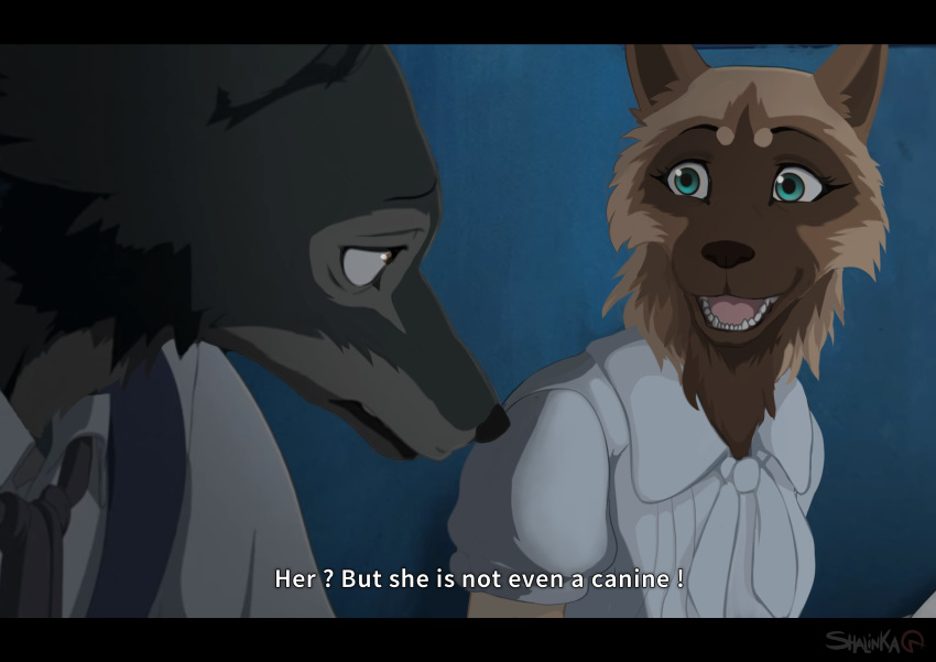 2020 absurd_res anthro beastars black_bars brown_body brown_fur canid canine canis digital_media_(artwork) duo english_text female fur hi_res male mammal open_mouth shalinka teeth text tongue wolf