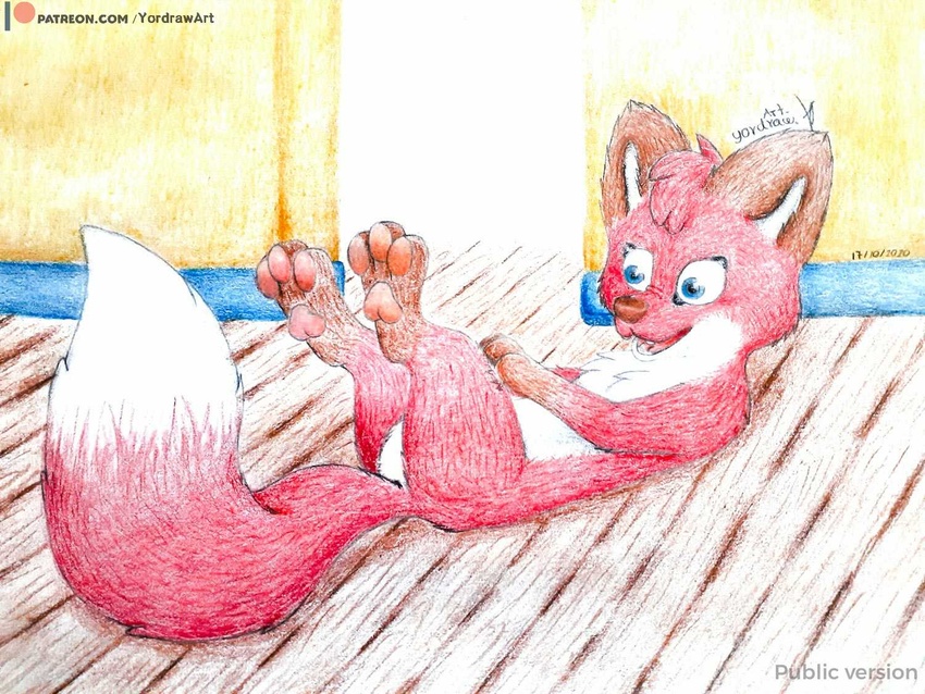 2020 4:3 belly blue_eyes brown_nose canid canine dipstick_tail female feral floor fox fur graphite_(artwork) jungledyret_hugo lying mammal markings multicolored_tail on_back open_mouth pawpads paws pencil_(artwork) pink_pawpads red_body red_fox red_fur rita_(jungledyret) solo soul_devouring_eyes tail tail_markings text traditional_media_(artwork) true_fox url white_belly wood wood_floor yordraw