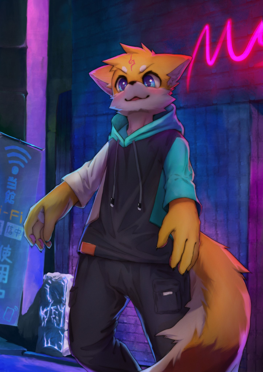 2021 anthro big_hands black_nose blue_eyes blush bottomwear canid canine cheek_tuft clothed clothing detailed_background drawstring dutch_angle facial_tuft fox front_view fully_clothed grey_bottomwear grey_clothing grey_pants hi_res hoodie kemono male mammal neon_sign outside pants portrait sign smile solo standing three-quarter_portrait timothy_furry topwear tuft wi-fi