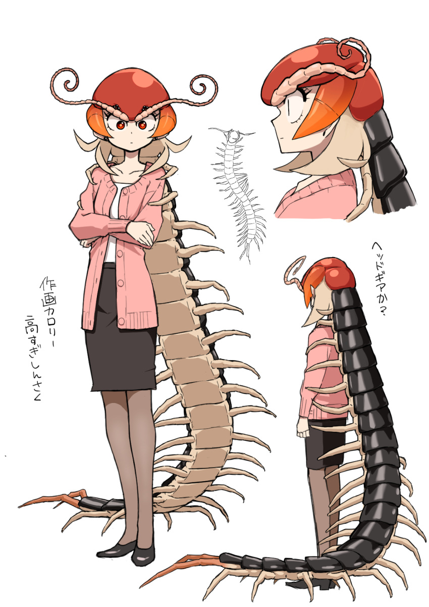 antennae arthropod_girl bug cardigan centipede centipede_girl centipede_maeshima check_translation crossed_arms evolvingmonkey female full_body highres original pantyhose pencil_skirt red_eyes skirt translation_request white_background