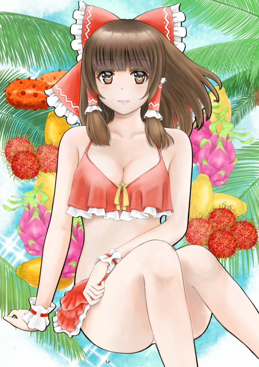 alternate_costume bikini bosutonii bow breasts brown_eyes brown_hair cleavage closed_mouth commentary_request dragon_fruit female frilled_bow frilled_hair_tubes frills fruit_request hair_tubes hairbow hakurei_reimu highres light_blush lips long_hair looking_at_viewer palm_leaf red_bikini red_bow solo swimsuit touhou wrist_cuffs