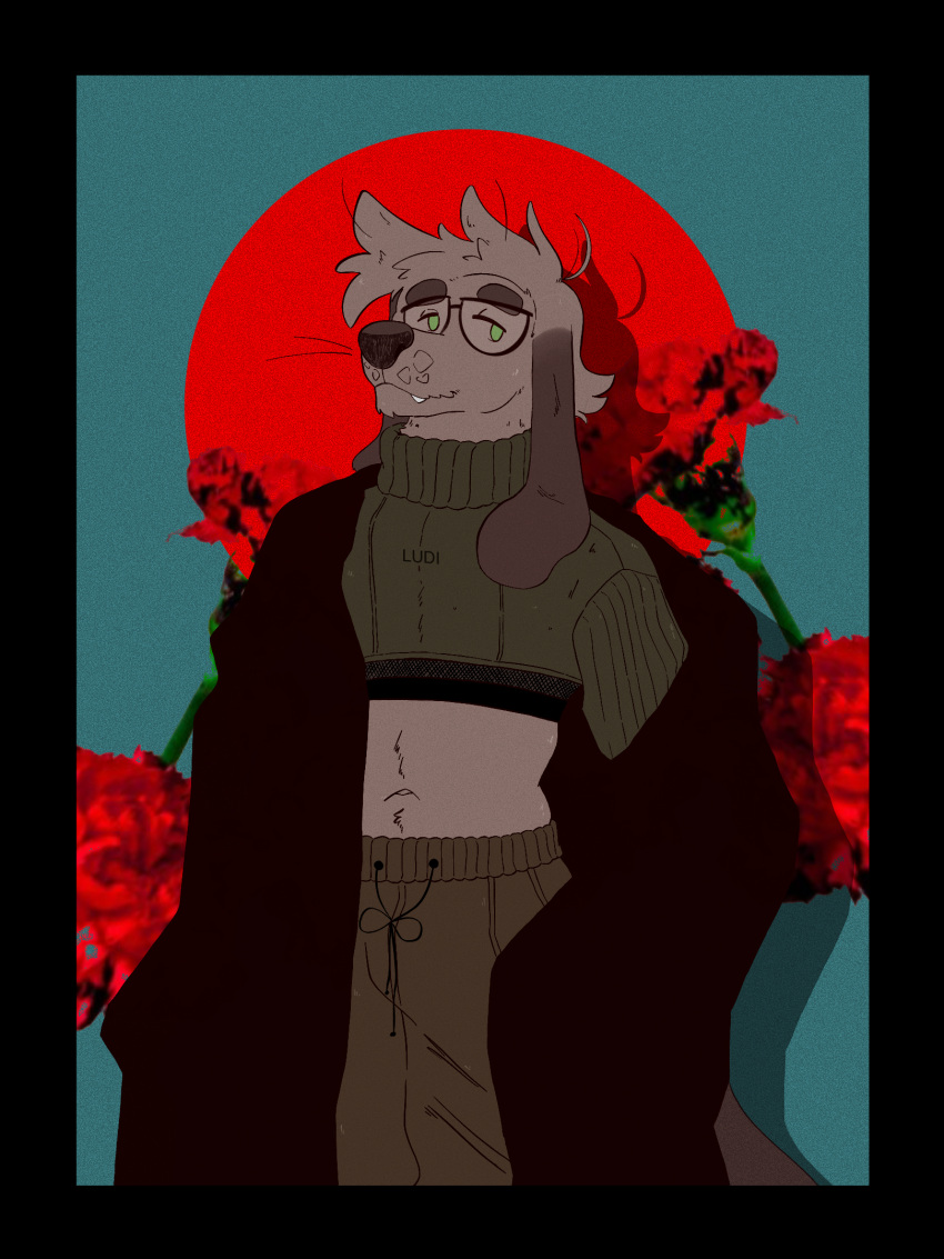 3:4 anthro black_border border canid canine canis clothing coat crop_top domestic_dog eyewear fashion fishnet_clothing fishnet_topwear flower glasses hi_res jogger long_ears male mammal plant reed_(bearra) rose_(flower) shirt solo topwear trenchcoat unknown_artist