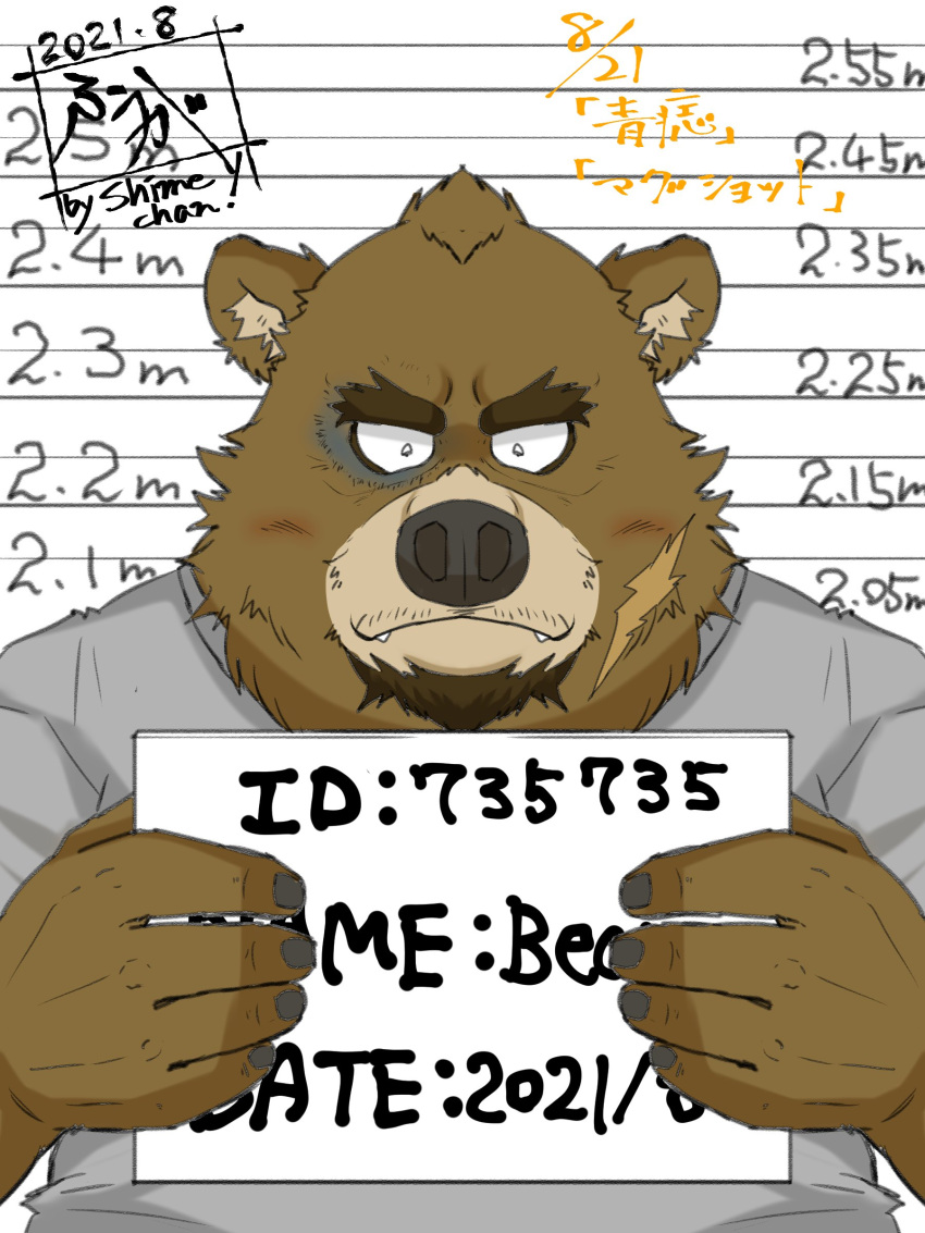 2021 3:4 absurd_res anthro bear biped brown_body brown_fur clothing cute_fangs fur half-length_portrait hi_res humanoid_hands kemono male mammal mugshot portrait scar shirt solo tanutronik753_k text topwear