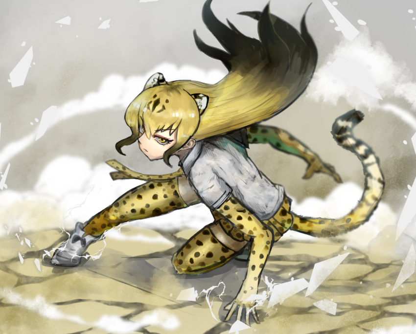 :| adeshi_(adeshi0693119) animal_ears animal_print black_hair blonde_hair cheetah_(kemono_friends) cheetah_ears cheetah_print closed_mouth commentary_request dust elbow_gloves extra_ears female floating_hair gloves gradient_hair hand_on_ground kemono_friends leopard_ears leopard_print leopard_tail long_hair multicolored_hair on_ground on_one_knee pose print_thighhighs shirt shoes skirt smoke solo tail thighhighs tsurime white_footwear white_shirt yellow_eyes