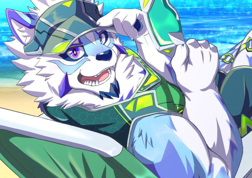 absurd_res anthro beach beach_chair biceps blue_eyes canid canine clothing eyebrows eyewear facial_hair facial_markings fur hat head_markings headgear headwear hi_res lifewonders live_a_hero male mammal markings multicolored_body multicolored_fur muscular muscular_anthro muscular_male nazebesu_hobby sadayoshi sea seaside solo sunglasses thick_eyebrows visor_cap water