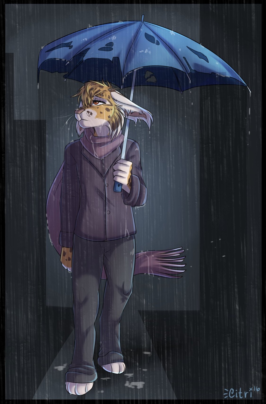 2016 anthro barefoot bottomwear brown_body brown_eyes brown_fur citrinelle clothed clothing countershading detailed_background digital_drawing_(artwork) digital_media_(artwork) digitigrade feet felid feline fur head_tuft hi_res holding_object holding_umbrella iberian_lynx jacket lynx mammal outside pants purple_clothing purple_jacket purple_scarf purple_topwear raining sad scarf shaded soft_shading solo tan_body tan_fur topwear tuft twilight_(shadowcatcher) umbrella whiskers white_body white_fur