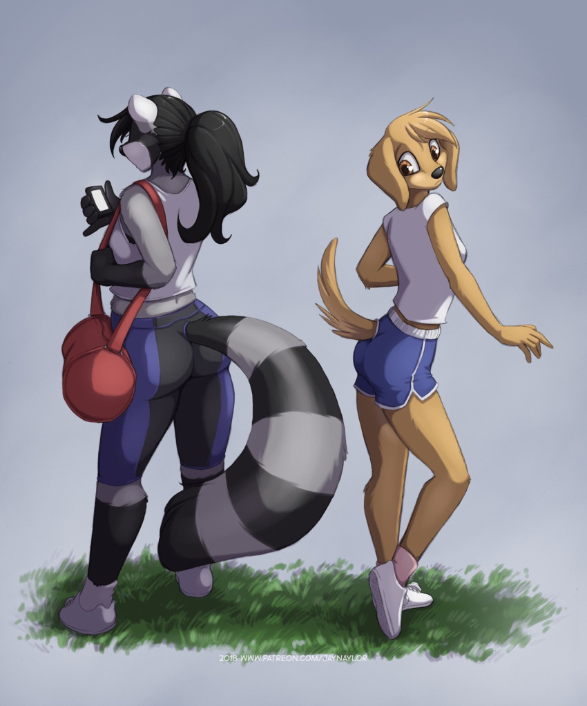 2018 anthro ass audrey_(jay_naylor) black_hair black_nose bottomwear brooke_reed brown_eyes butt_size_difference canid canine canis clothed clothing conditional_dnp digital_media_(artwork) dolphin_shorts domestic_dog duo female femboy footwear grass hair hi_res jay_naylor looking_back mammal plant ponytail procyonid raccoon shaded shoes shorts standing trans_(lore) trans_woman_(lore)