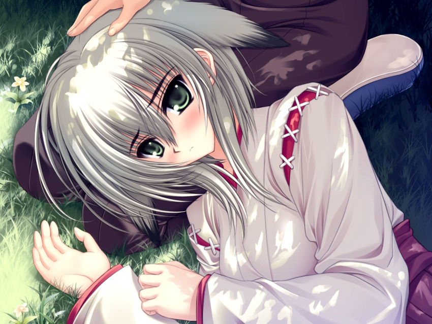 1280x960 animal_ears blush blush dog_ears green_eyes inumimi japanese_clothes lying miko short_hair wallpaper white_hair