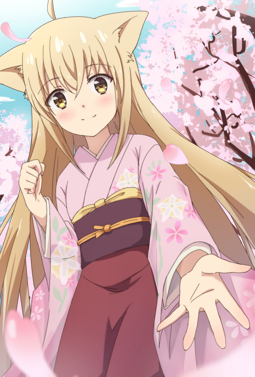 ahoge animal_ears apron blonde_hair blush brown_apron cherry_blossoms closed_mouth commentary_request dutch_angle fang_out female fingernails floral_print fox_ears hair_between_eyes highres japanese_clothes kimono konohana_kitan long_hair long_sleeves looking_at_viewer obi oerba_yun_fang outstretched_arm petals pink_kimono print_kimono sash smile solo very_long_hair wide_sleeves x-6 yellow_eyes yuzu_(konohana_kitan)