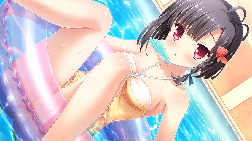 :o afloat antenna_hair black_hair braid breasts dutch_angle female fish_hair_ornament game_cg hair_ornament highres ikegami_akane innertube long_hair looking_at_viewer medium_breasts one-piece_swimsuit pool short_hair solo swim_ring swimsuit takamiya_nanaka water wet yome_sagashi_ga_hakadori_sugite_yabai.