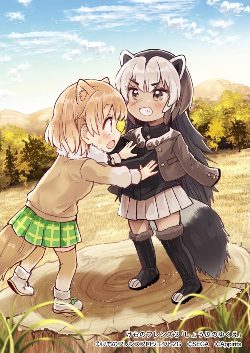 2girls animal_ears black-tailed_prairie_dog_(kemono_friends) black_footwear black_shirt blush boots brown_eyes brown_fur brown_hair brown_jacket brown_legwear brown_sweater collared_shirt commentary_request full_body fur_collar fur_trim green_skirt grey_skirt highres jacket jacket_on_shoulders kemono_friends kemono_friends_3 light_brown_hair long_hair long_sleeves multicolored_hair multiple_girls official_art outdoors plaid plaid_skirt pleated_skirt sakura_oriko scar scar_on_face shirt short_hair skirt sweater tail thigh_boots thighhighs translated white_fur white_hair wolverine_(kemono_friends) zettai_ryouiki