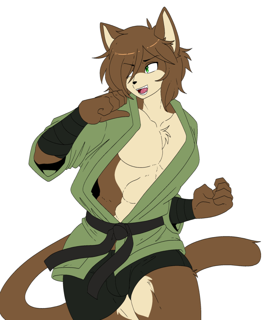 5_fingers alpha_channel anthro biped brown_body brown_fur brown_hair clothed clothing countershade_face countershade_fur countershade_torso countershading domestic_cat ein_(ereki) felid feline felis fingers fur green_clothing hair hi_res keikogi male mammal martial_arts_uniform munkeesgomu open_mouth open_smile simple_background smile solo sportswear tail transparent_background