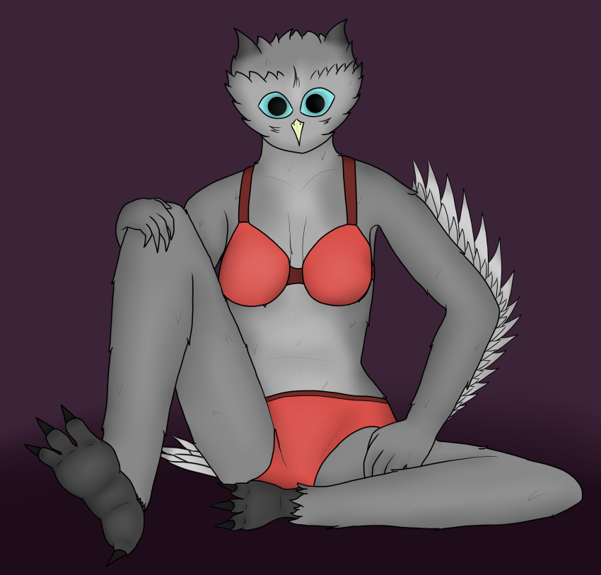 absurd_res anthro avian beak bird blue_eyes bra breasts casual_exposure clothed clothing feathered_tail feathered_wings feathers feet female generic06 grey_body grey_feathers hi_res olivia_(generic06) owl red_bra red_clothing red_underwear sitting solo tail talons toes underwear underwear_only wings yellow_beak