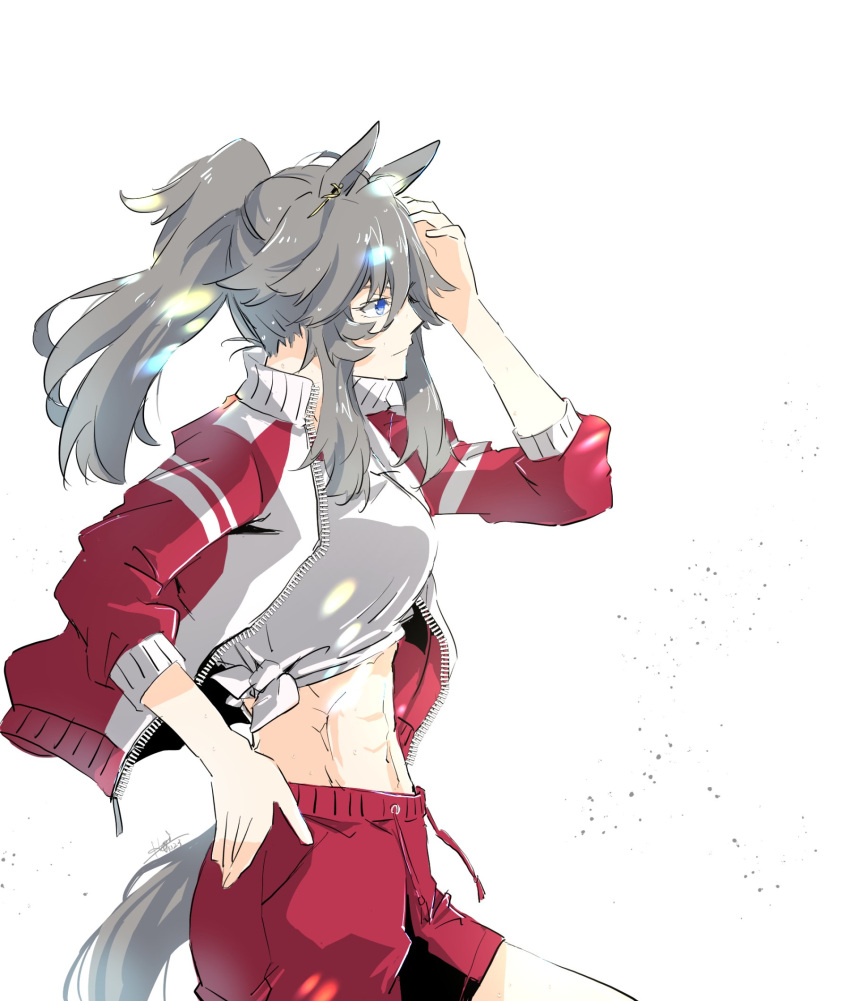 abs akiduki_(gundogs) alternate_hairstyle animal_ears blue_eyes commentary_request cowboy_shot earrings female grey_hair gym_shirt gym_shorts hand_on_own_hip highres horse_ears horse_girl horse_tail jacket jewelry long_hair long_sleeves midriff no_navel open_clothes open_jacket perry_steam_(umamusume) ponytail red_jacket red_shorts shirt shorts sidelocks single_earring solo sword_earrings tail tied_shirt toned_female track_jacket umamusume umamusume:_beginning_of_a_new_era white_background white_shirt zipper