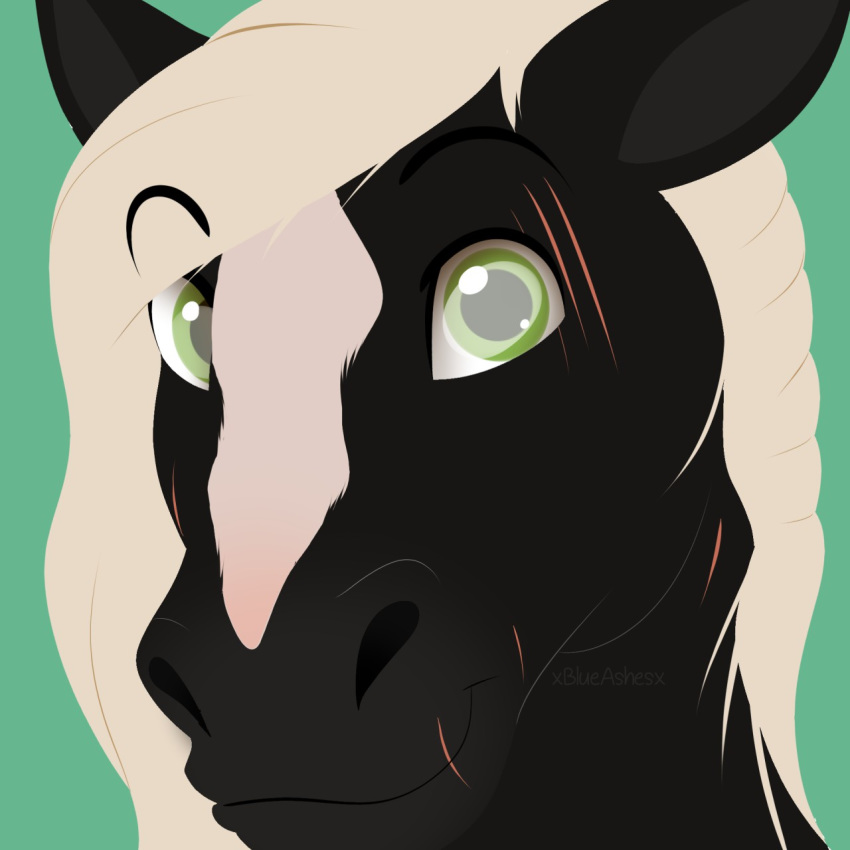 1:1 2018 aidan_(apollo13) ambiguous_form black_body black_ears black_face black_fur blaze_(marking) digital_media_(artwork) equid equine eye_scar eyebrow_through_hair eyebrows facial_markings facial_scar fur green_background green_eyes hair head_markings headshot_portrait hi_res horse icon long_hair looking_at_viewer male mammal markings monotone_hair multicolored_face portrait scar simple_background smile snout solo translucent translucent_hair two_tone_face white_body white_face white_fur white_hair xblueashesx