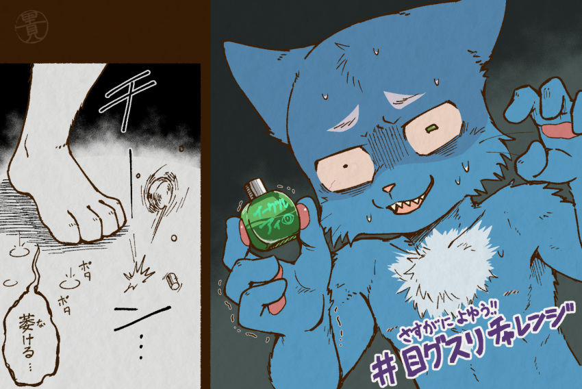 aoniya_yuudai bloodshot_eyes blue_body blue_fur bodily_fluids chest_tuft crying dark_ishihara domestic_cat eyedrops felid feline felis fur green_eyes japanese_text kemono looking_at_viewer male mammal meme partially_translated pawpads shampoo_challenge solo tears text translation_check translation_request tuft