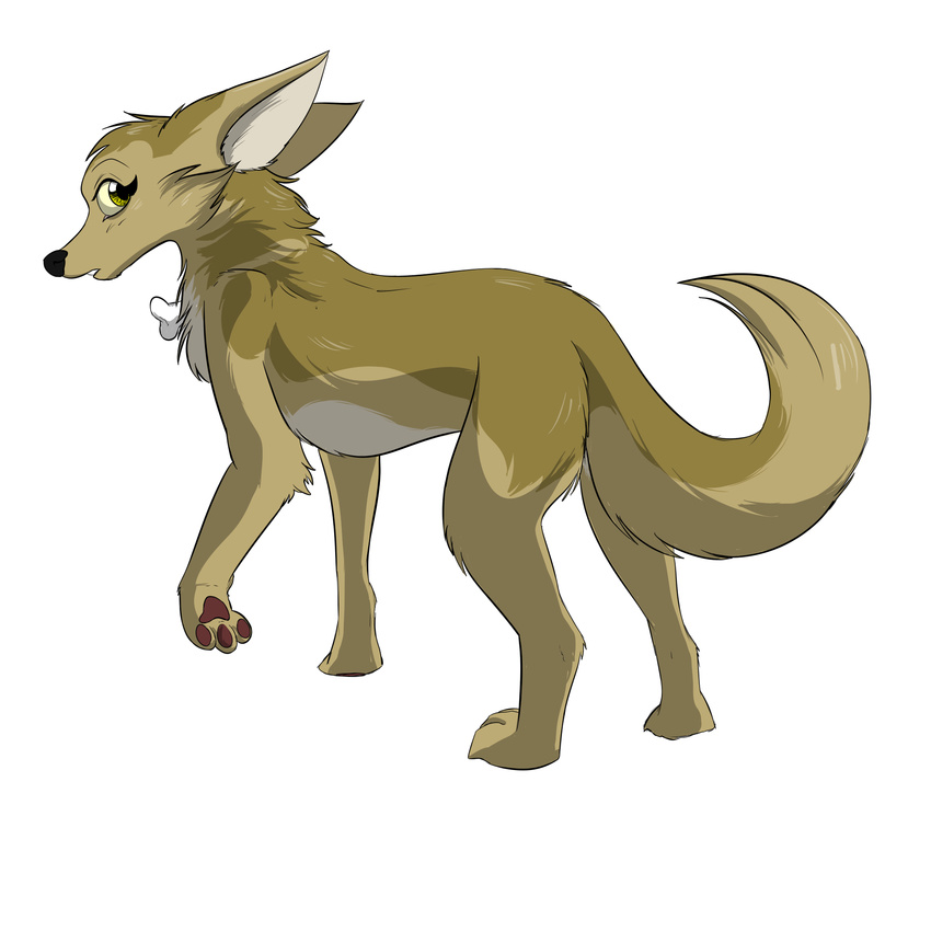 1:1 2016 african_golden_wolf bone canid canine canis el-gallo female feral fur golden_jackal hi_res jackal koralyeia_(darfix) mammal simple_background solo tan_body tan_fur yellow_eyes young