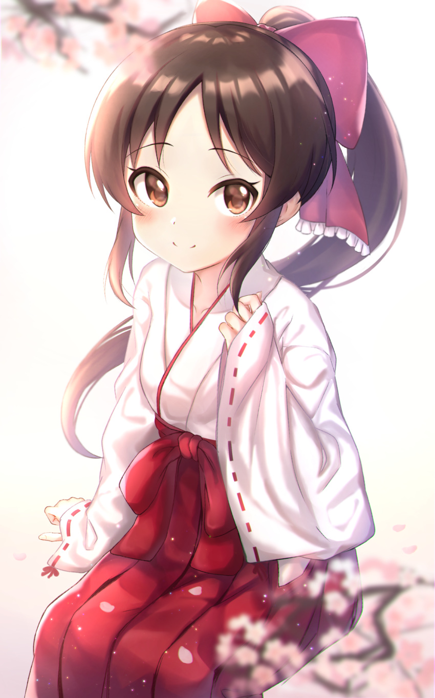 alternate_costume alternate_hairstyle bad_id bad_pixiv_id blush_stickers bow brown_eyes brown_hair cherry_blossoms commentary cotrpopor female hair_ribbon hakama hakama_skirt highres idolmaster idolmaster_cinderella_girls idolmaster_cinderella_girls_starlight_stage japanese_clothes miko ponytail red_bow red_hakama ribbon sitting skirt smile symbol-only_commentary tachibana_arisu wide_sleeves